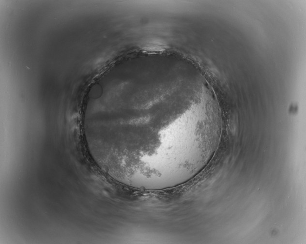 X0000103971445200809191523