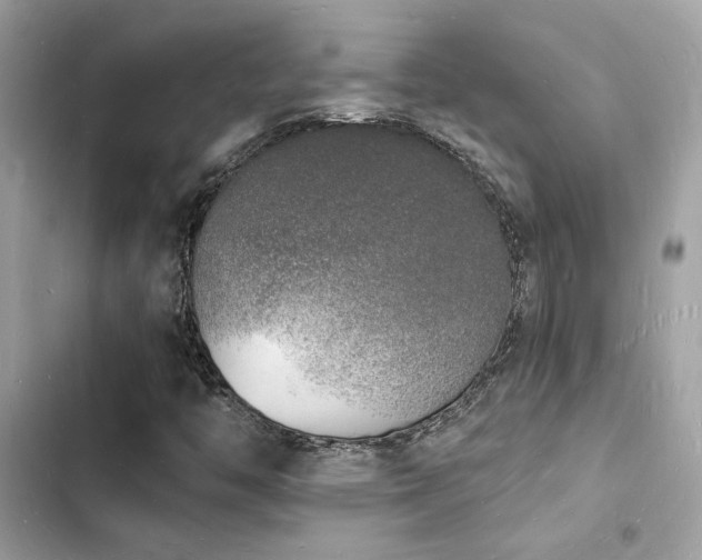 X0000103971446200809191523