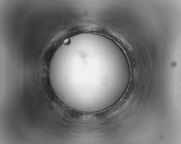 X0000103971447200809191523