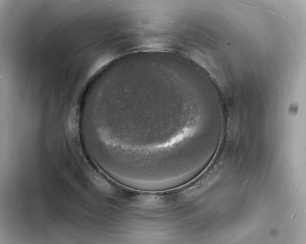 X0000103971450200809191523