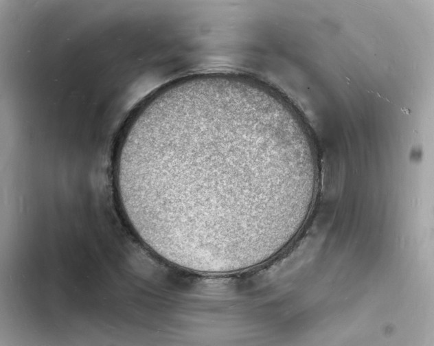 X0000103971453200809191523