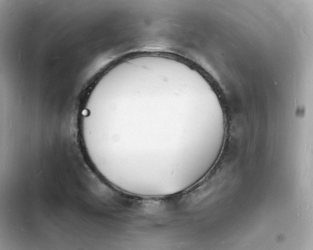 X0000103971456200809191523