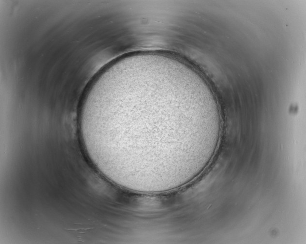 X0000103971457200809191523