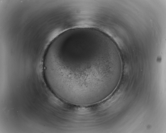 X0000103971459200809191523