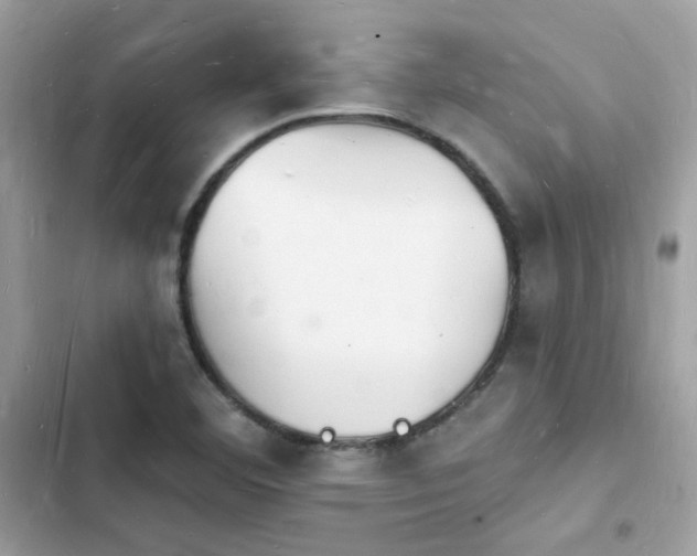 X0000103971460200809191523