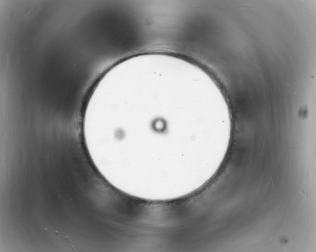 X0000103971461200809191523