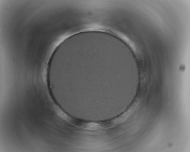 X0000103971463200809191523