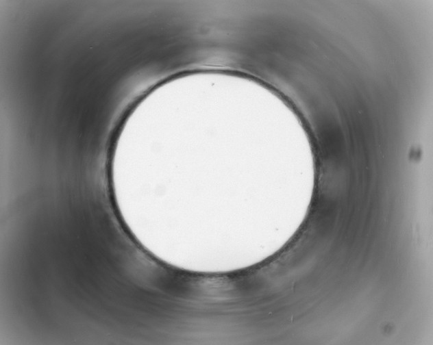 X0000103971464200809191523