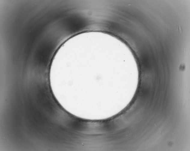 X0000103971465200809191523