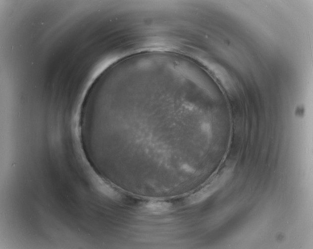 X0000103971466200809191523