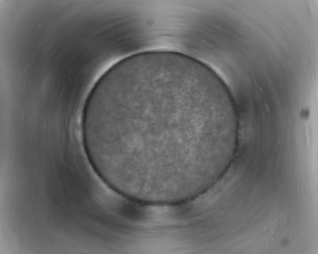 X0000103971468200809191523