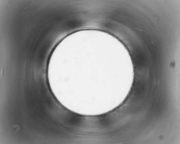 X0000103971469200809191523