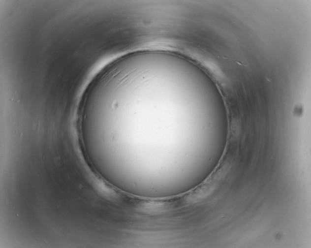 X0000103971470200809191523