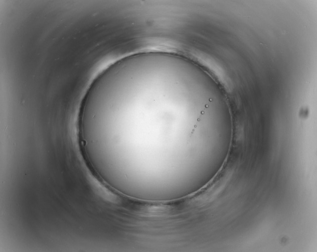 X0000103971471200809191523