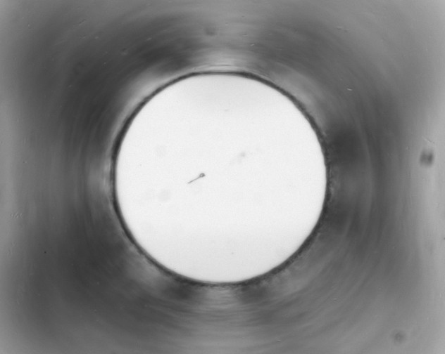 X0000103971472200809191523