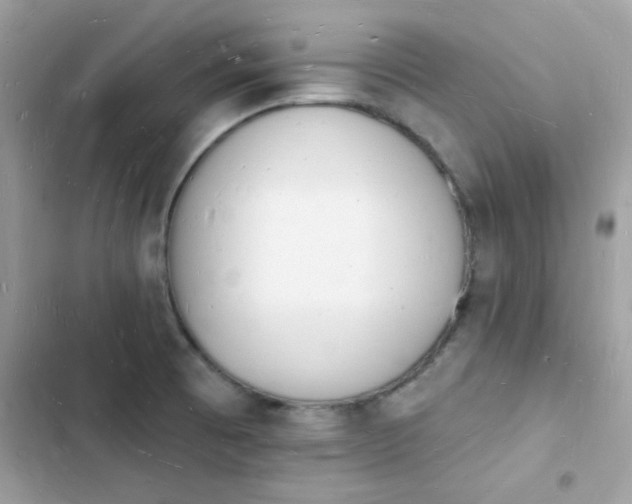 X0000103971473200809191523