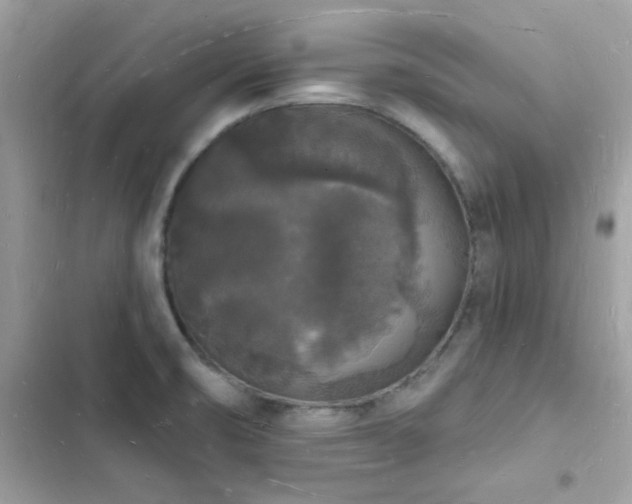 X0000103971474200809191523