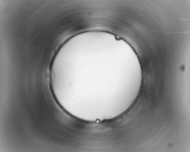 X0000103971476200809191523