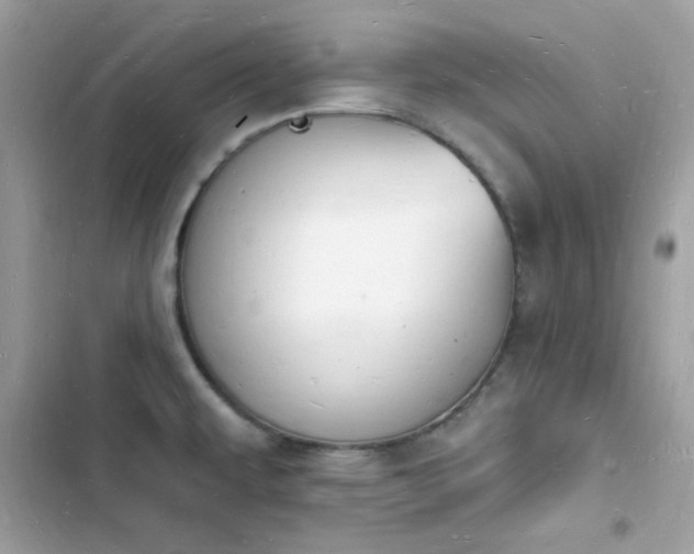 X0000103971479200809191523