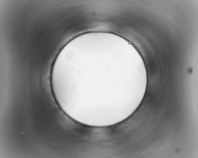 X0000103971480200809191523