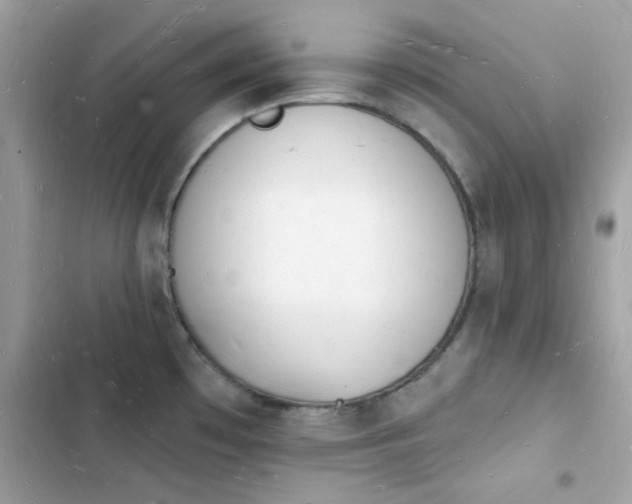 X0000103971481200809191523