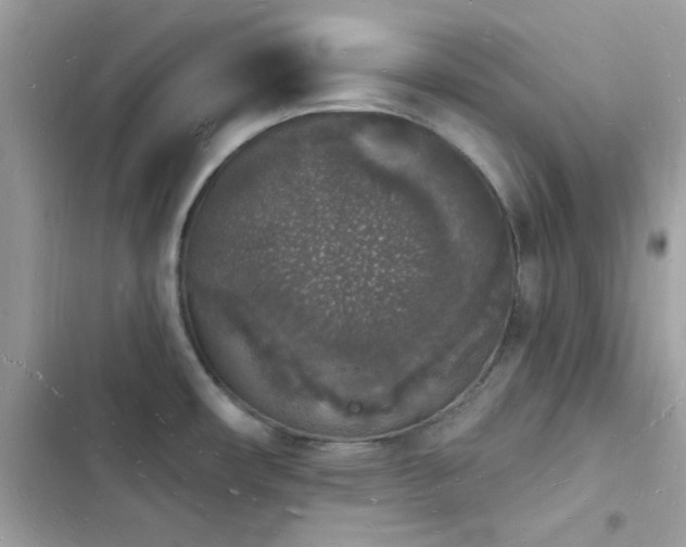 X0000103971482200809191523