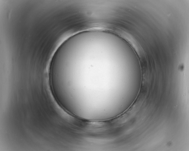 X0000103971483200809191523