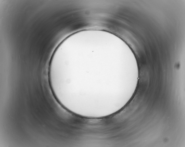 X0000103971484200809191523