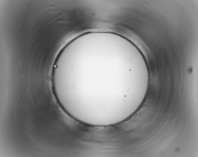 X0000103971485200809191523