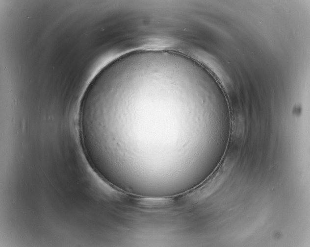 X0000103971487200809191523