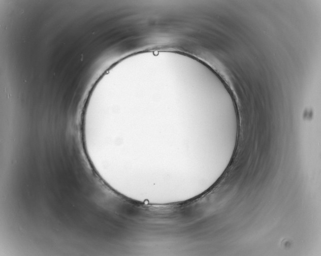 X0000103971488200809191523