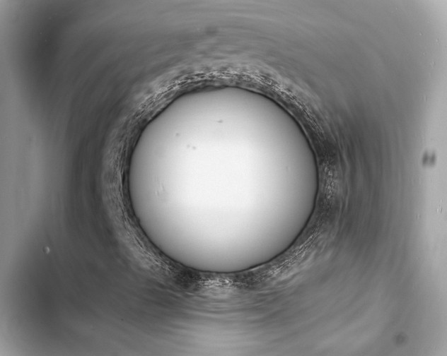 X0000103971489200809191522