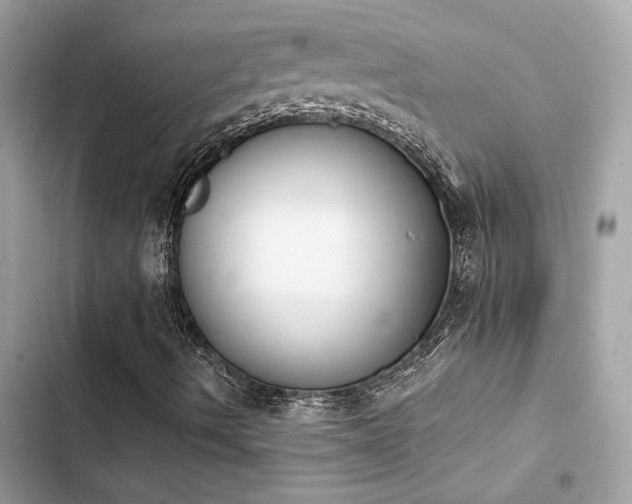 X0000103971490200809191522