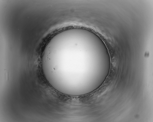 X0000103971495200809191522