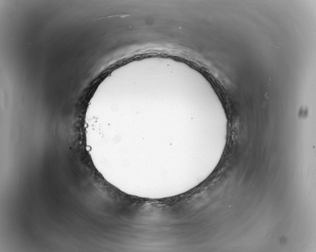 X0000103971496200809191522