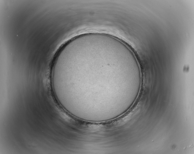 X0000103971498200809191522