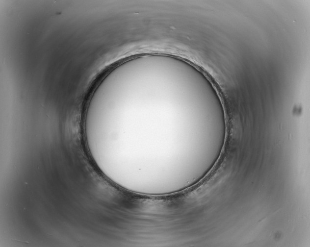 X0000103971499200809191522