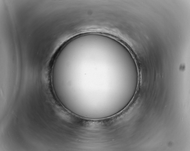 X0000103971501200809191522