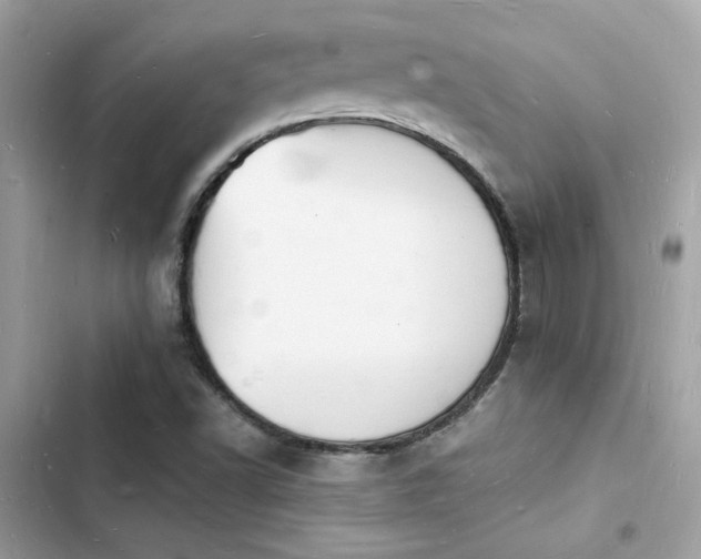 X0000103971502200809191522