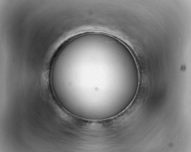 X0000103971503200809191522