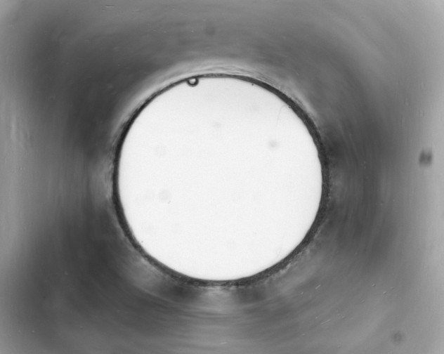 X0000103971504200809191522