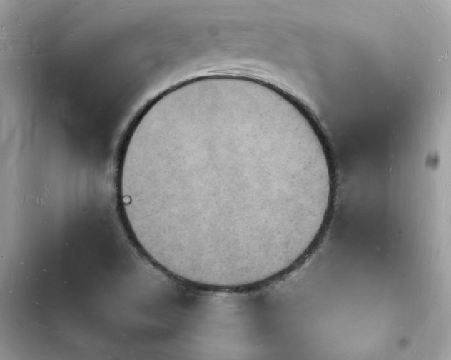 X0000103971506200809191522