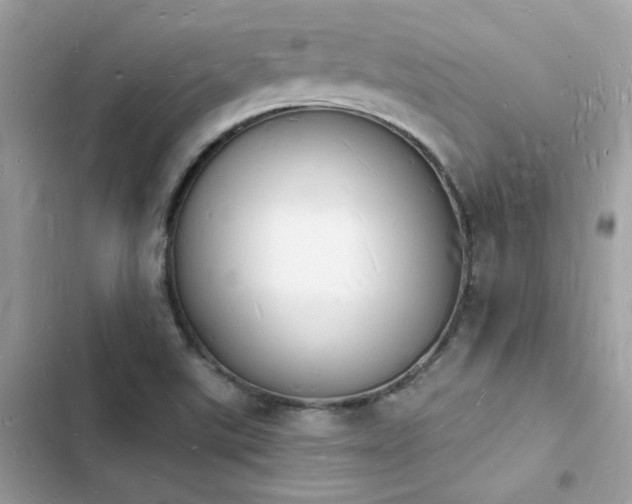 X0000103971507200809191522