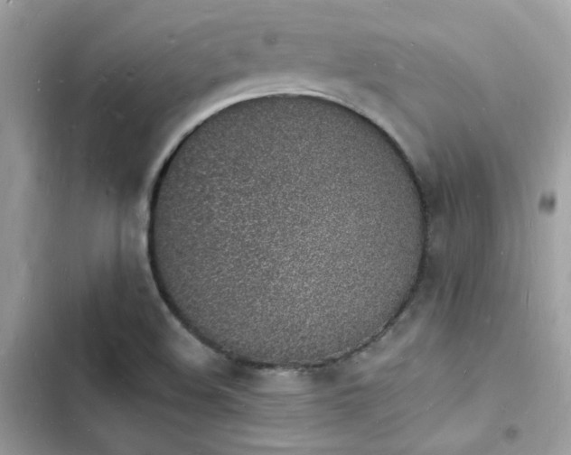 X0000103971508200809191522