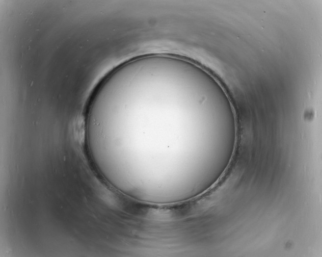 X0000103971509200809191522