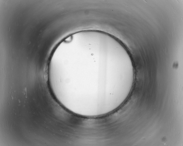 X0000103971510200809191522