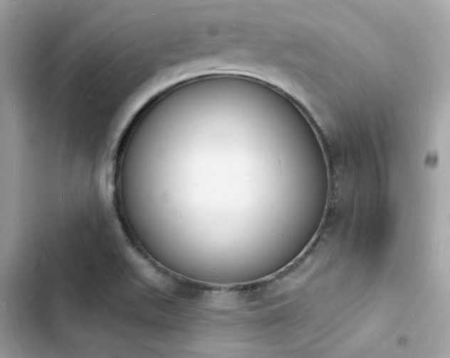 X0000103971511200809191522