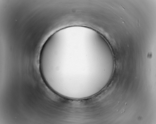 X0000103971512200809191522