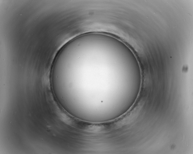 X0000103971513200809191522