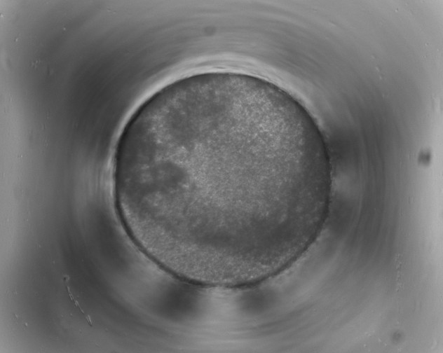 X0000103971514200809191522